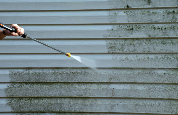 Best Local Mold Removal Service  in Stockton, KS