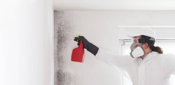 Best Mold Testing  in Stockton, KS