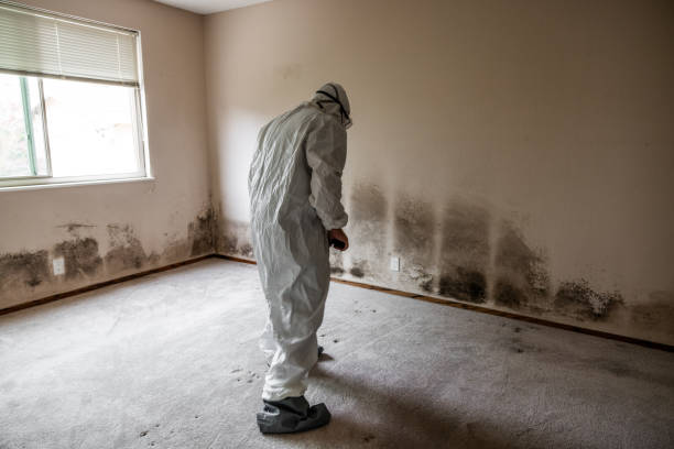 Best Crawl Space Mold Removal  in Stockton, KS