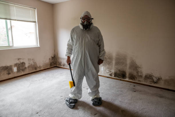 Best Crawl Space Mold Removal  in Stockton, KS